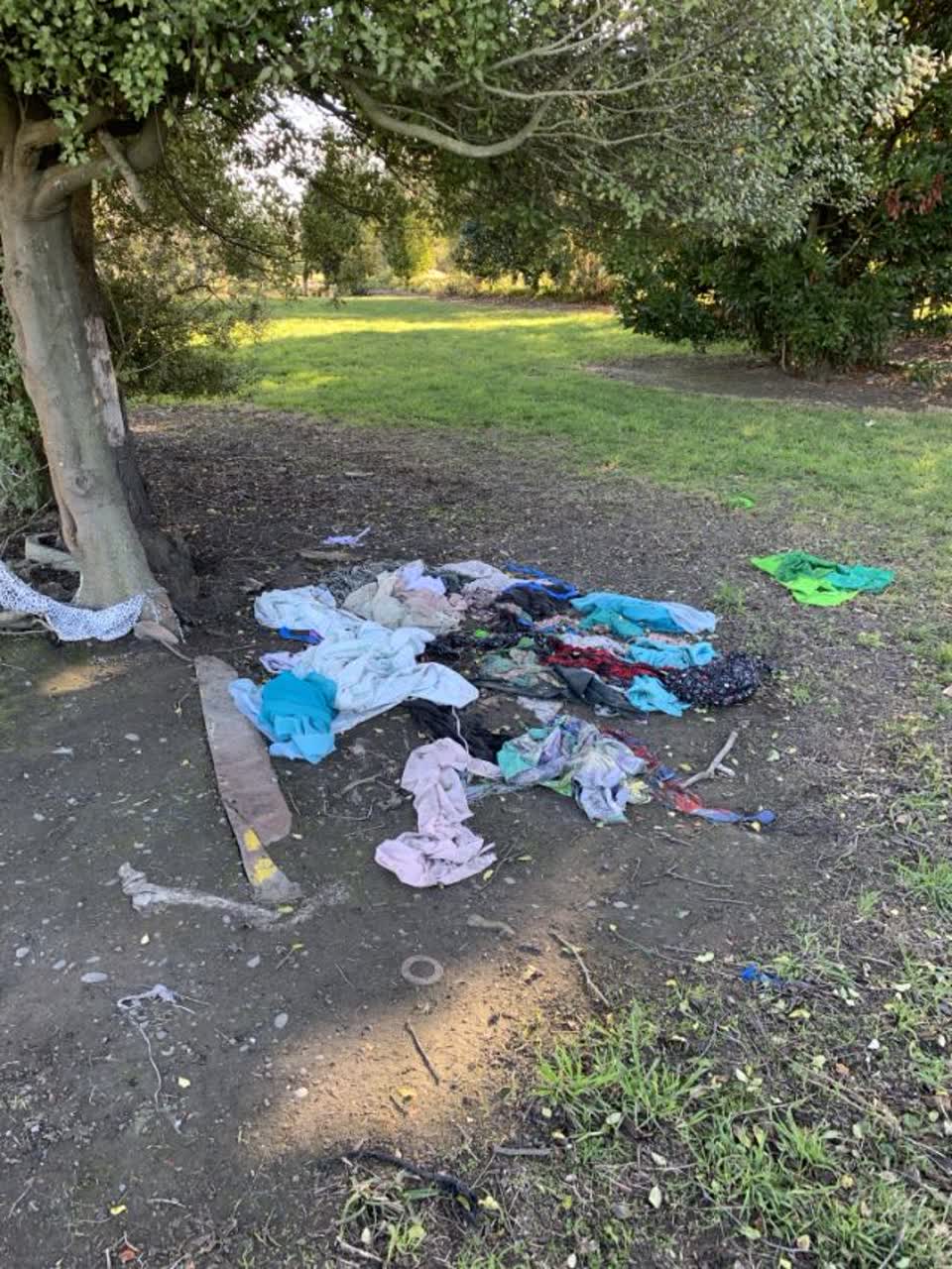 The photograph attached to this parks report