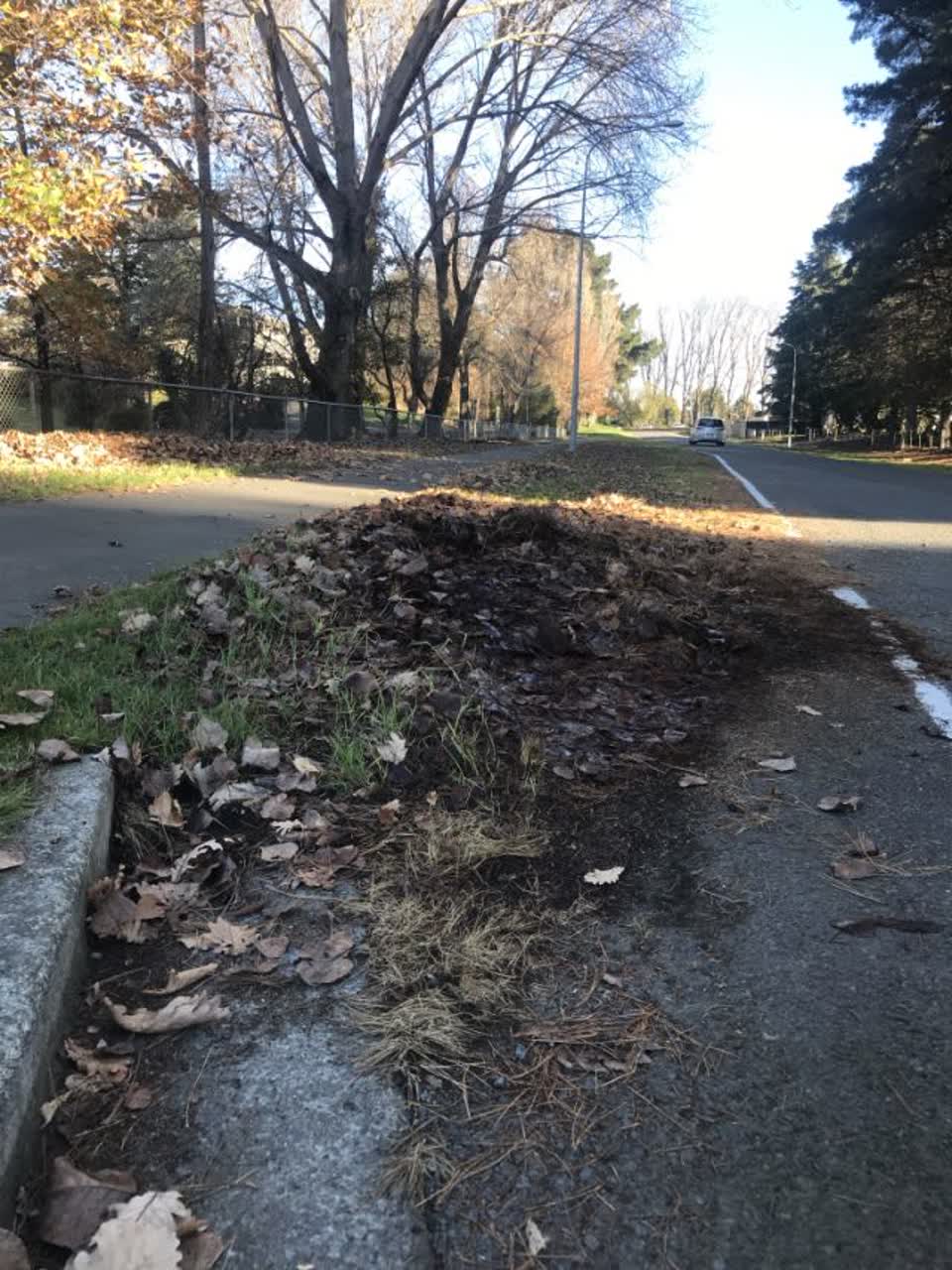 The photograph attached to this roading/streets report