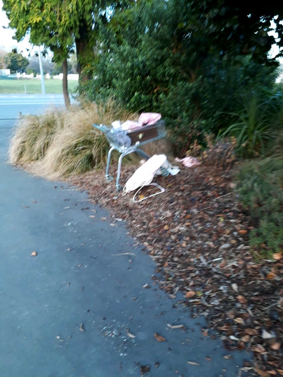 The photograph attached to this rubbish/recycling report