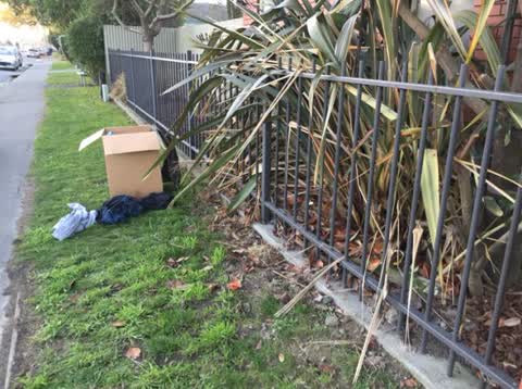 Rubbish/Recycling, a report photo
