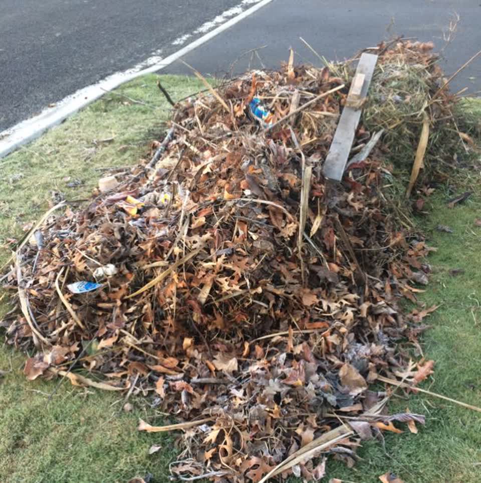 The photograph attached to this parks report