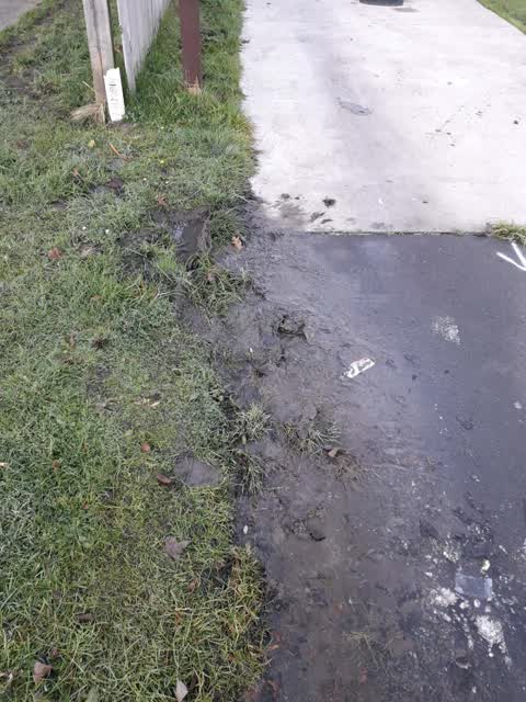 Water Supply, a report photo