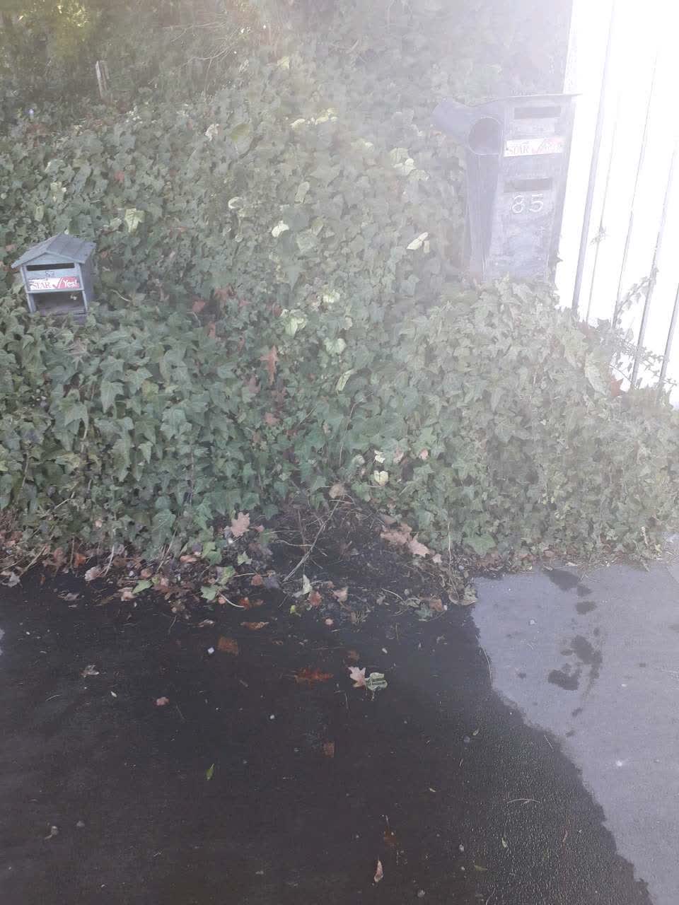 The photograph attached to this water supply report