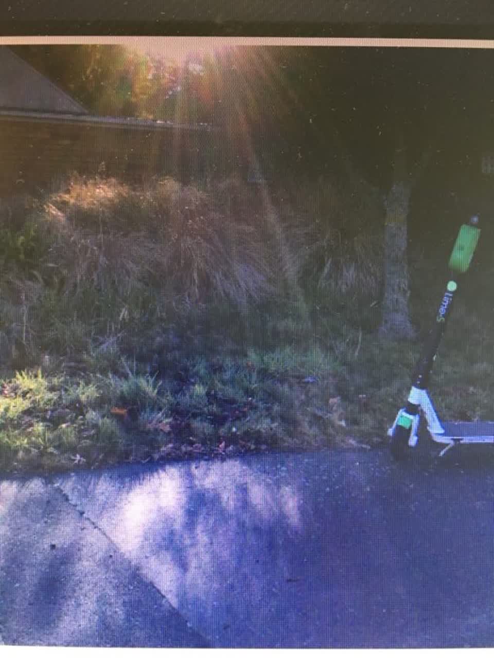 The photograph attached to this parks report