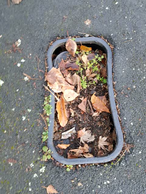 Water Supply, a report photo