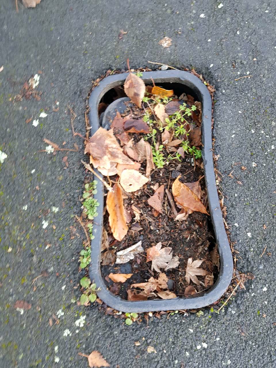 The photograph attached to this water supply report