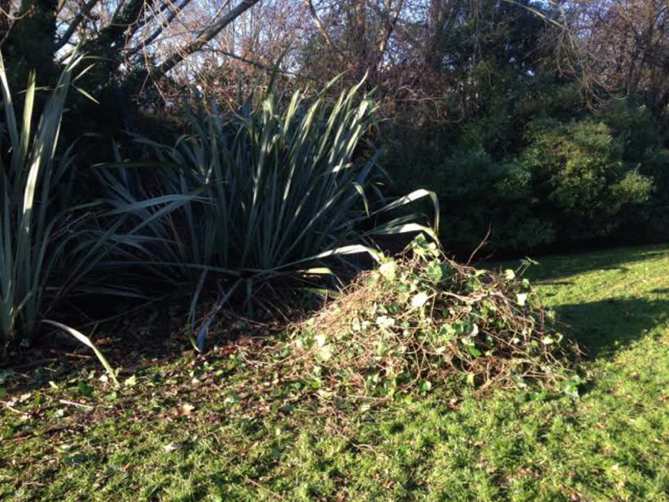 The photograph attached to this parks report