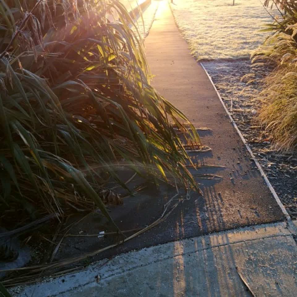 The photograph attached to this parks report