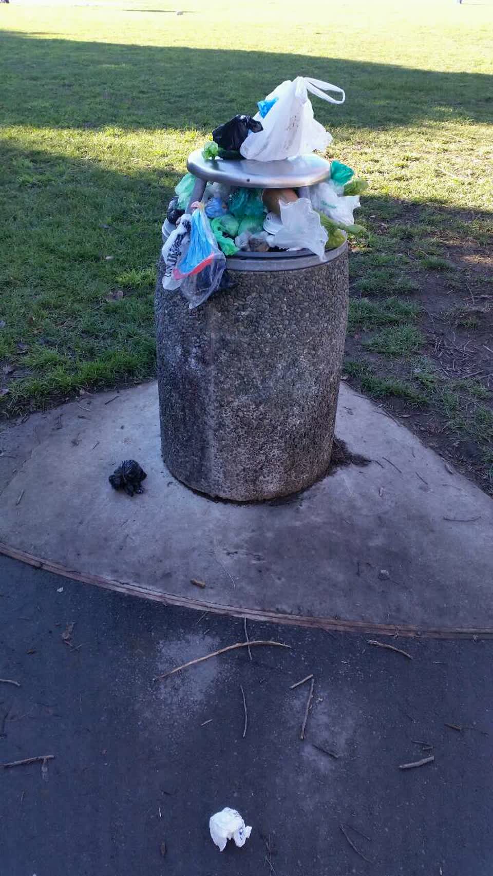 The photograph attached to this parks report