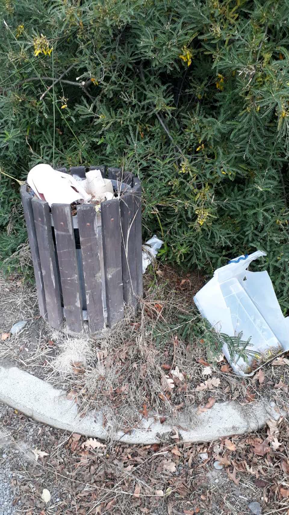 The photograph attached to this rubbish/recycling report