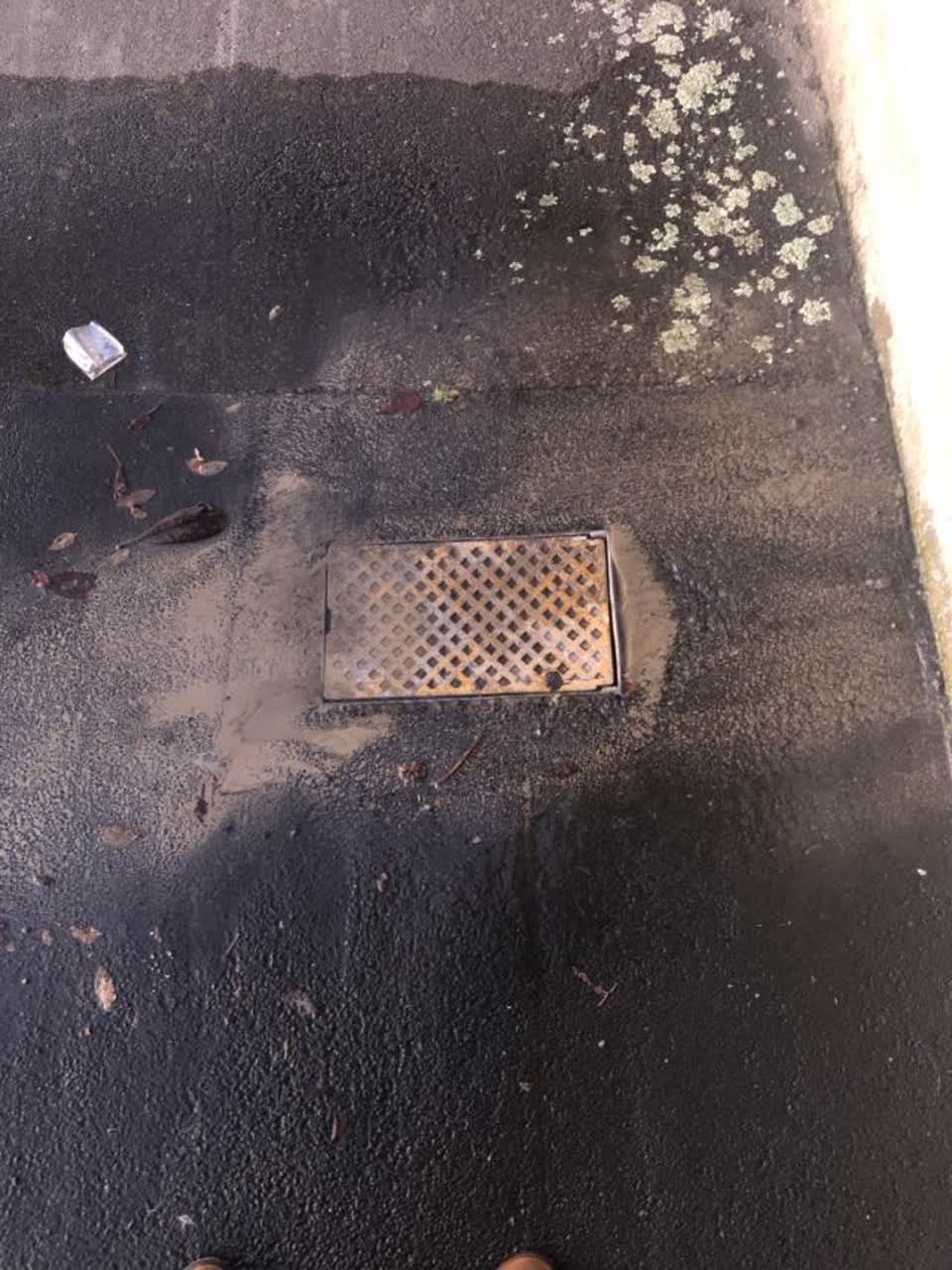 The photograph attached to this water supply report