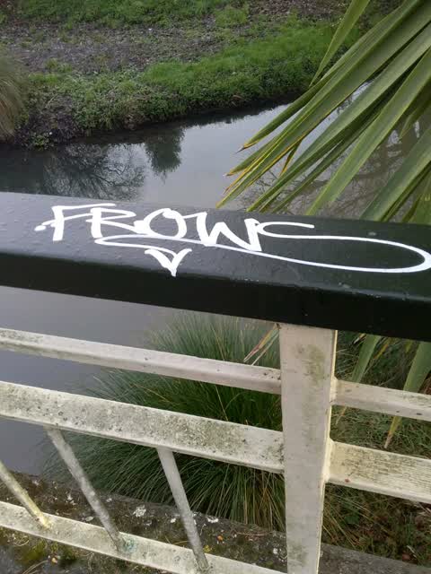 Graffiti, a report photo