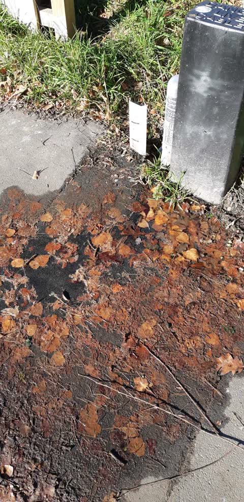 Water Supply, a report photo