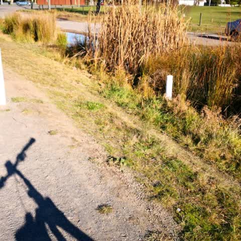 Parks, a report photo