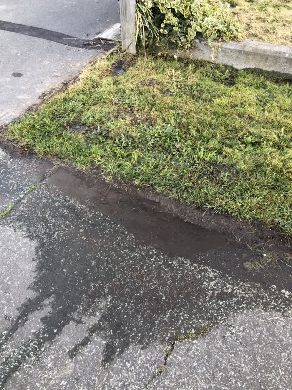 The photograph attached to this water supply report