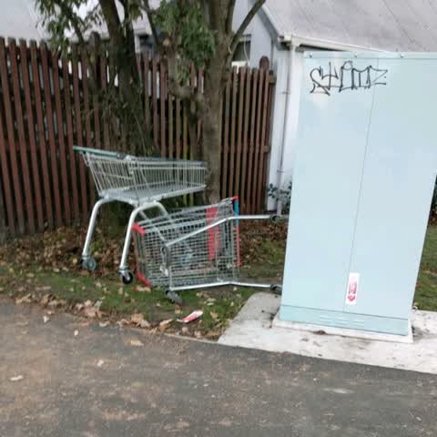 Rubbish/Recycling, a report photo