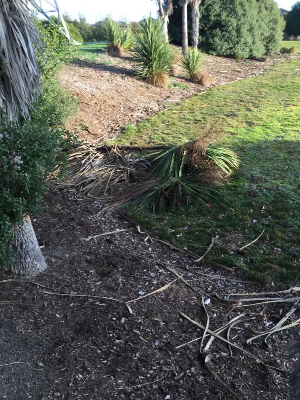 The photograph attached to this parks report