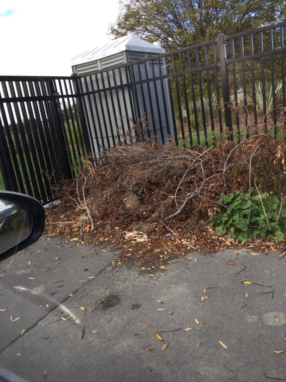 The photograph attached to this parks report