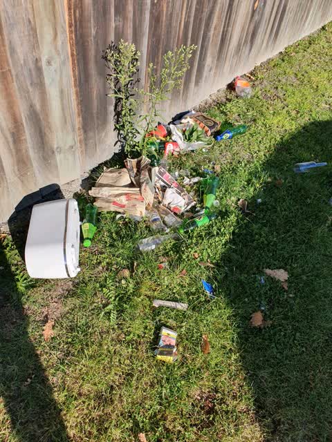 Rubbish/Recycling, a report photo