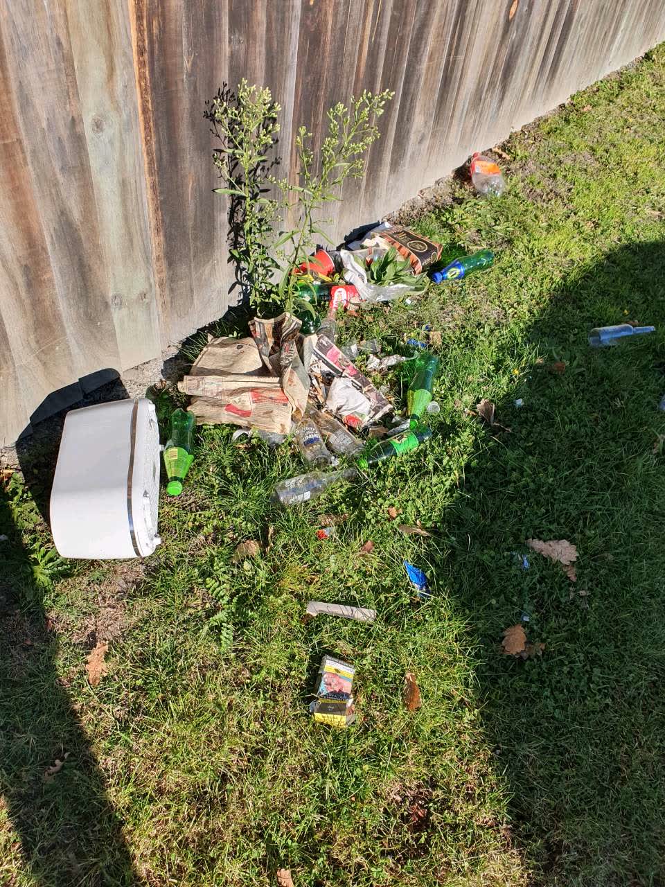 The photograph attached to this rubbish/recycling report
