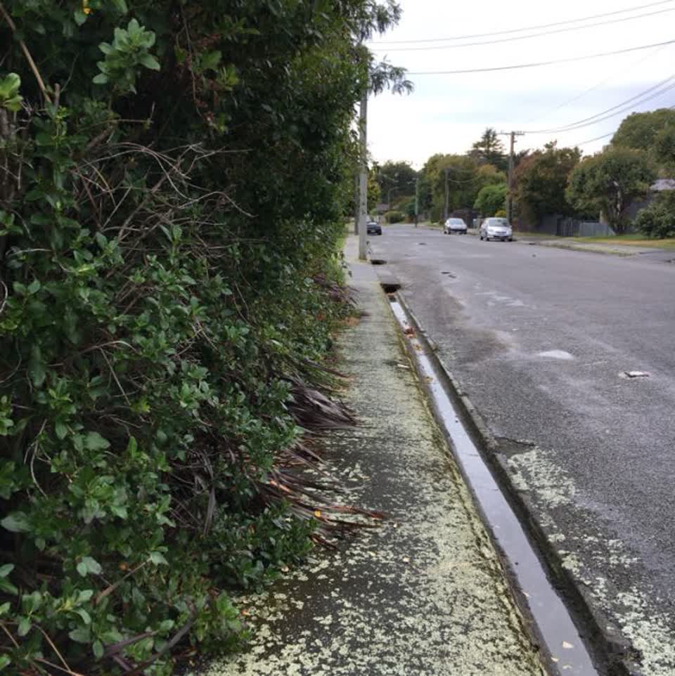 The photograph attached to this roading/streets report