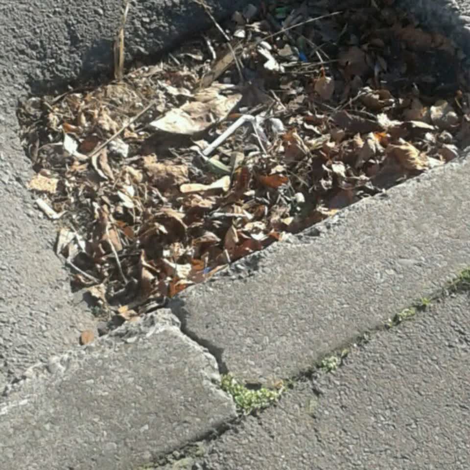 The photograph attached to this wastewater/stormwater report