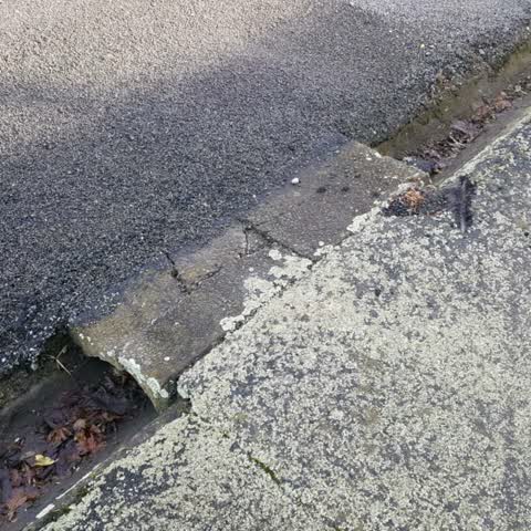 Roading/Streets, a report photo