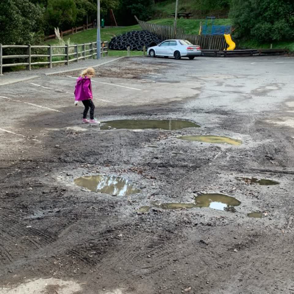 The photograph attached to this parks report