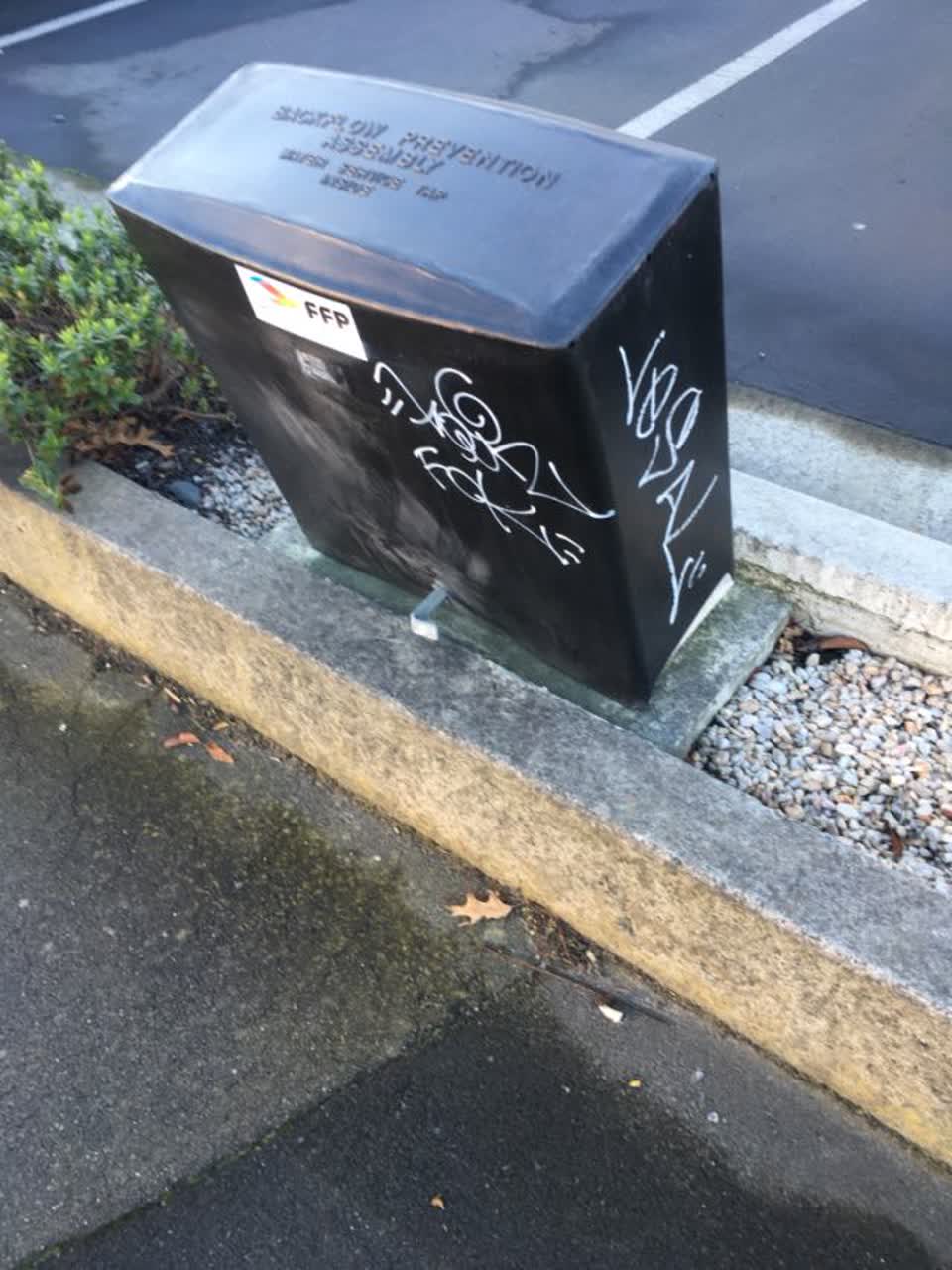 The photograph attached to this graffiti report