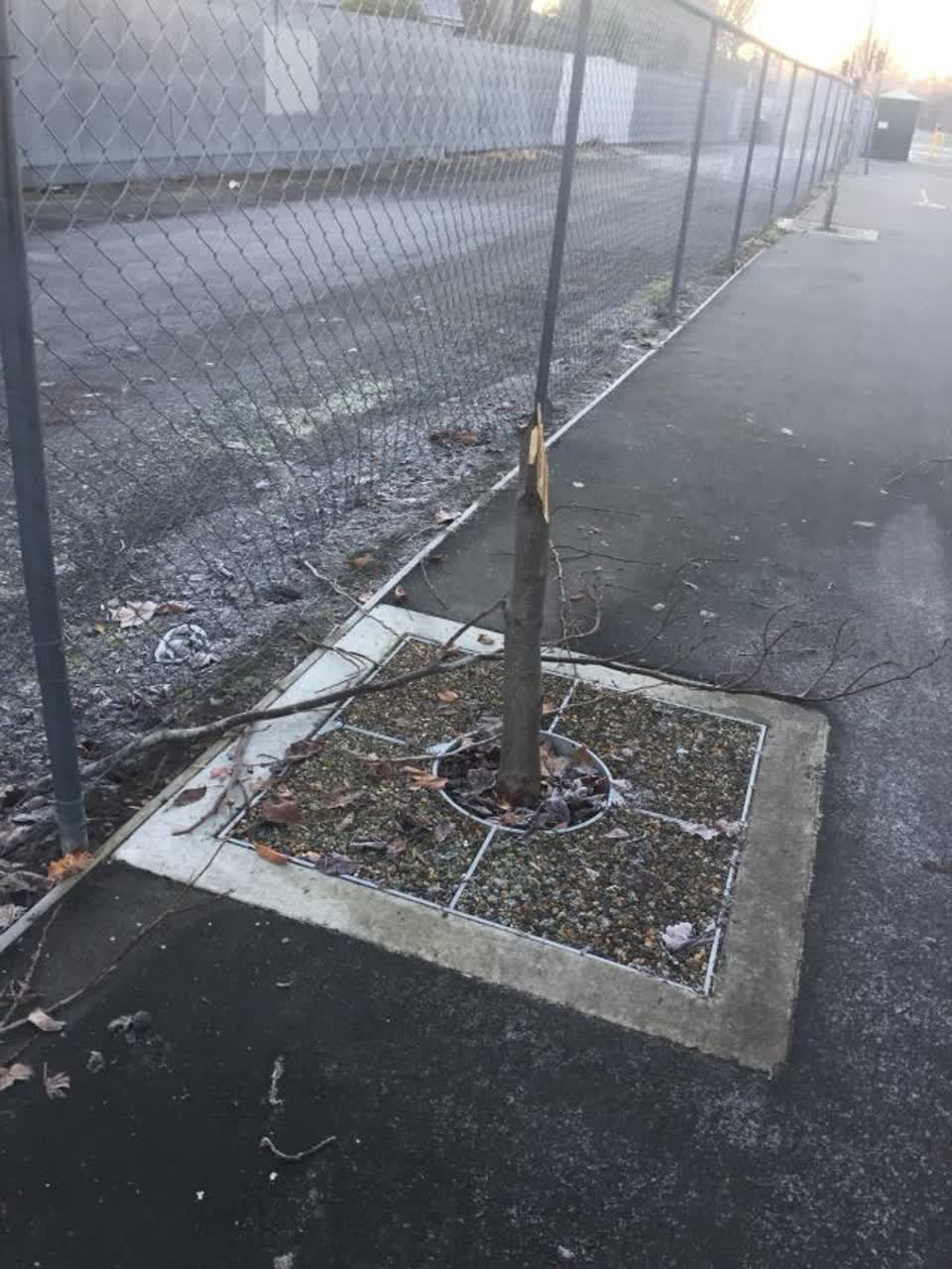 The photograph attached to this roading/streets report