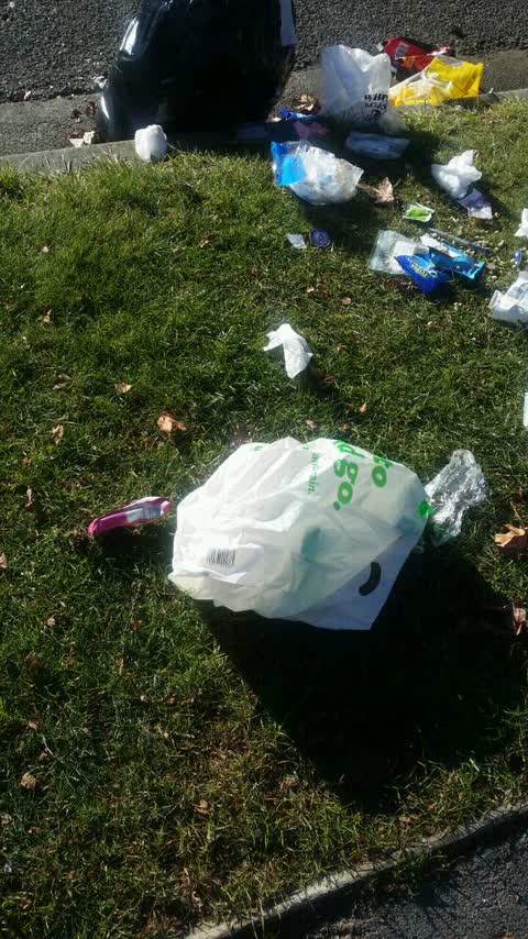Rubbish/Recycling, a report photo