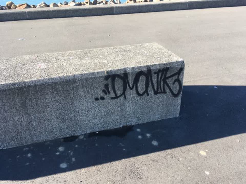 The photograph attached to this graffiti report