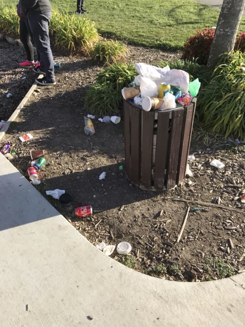 The photograph attached to this rubbish/recycling report