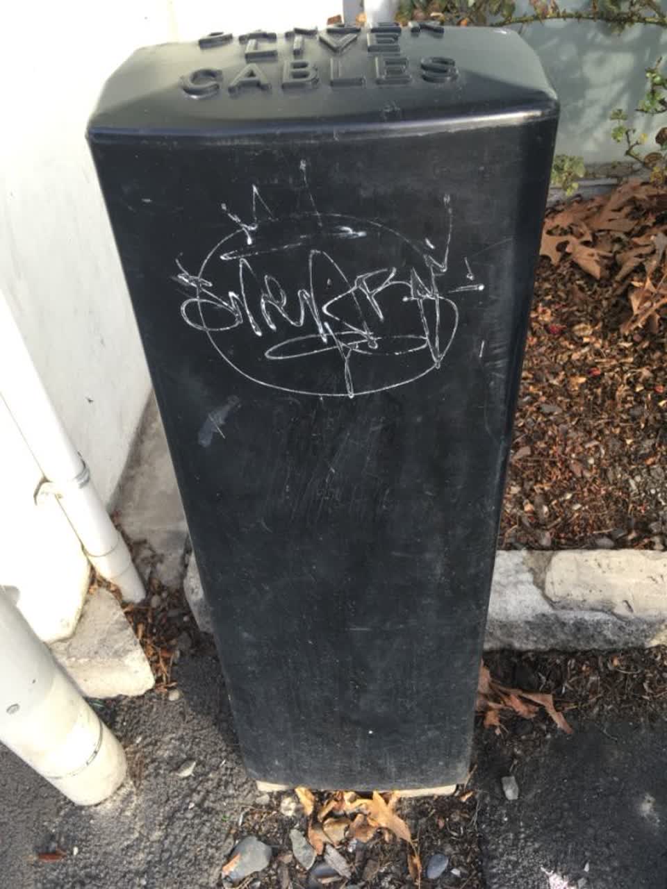 The photograph attached to this graffiti report