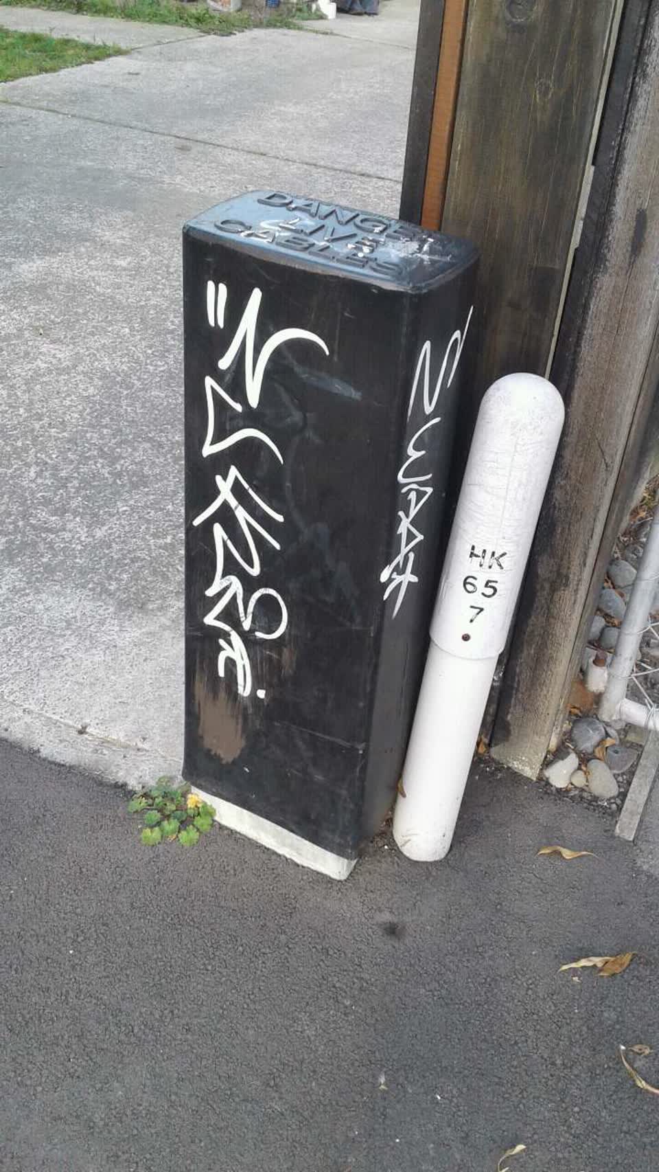 The photograph attached to this graffiti report