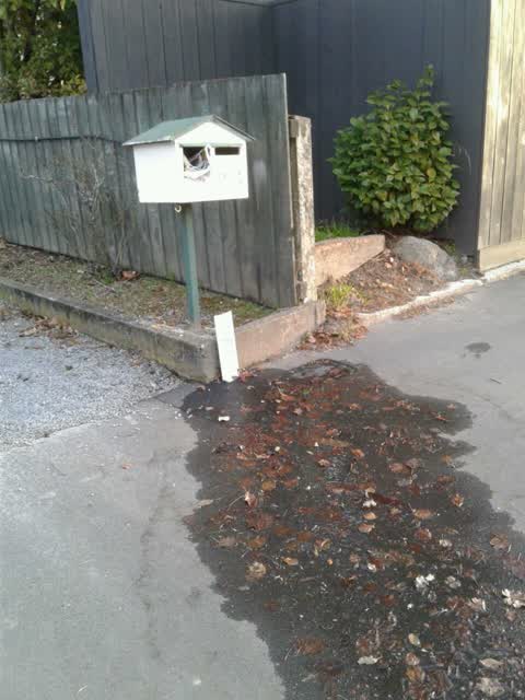 Water Supply, a report photo