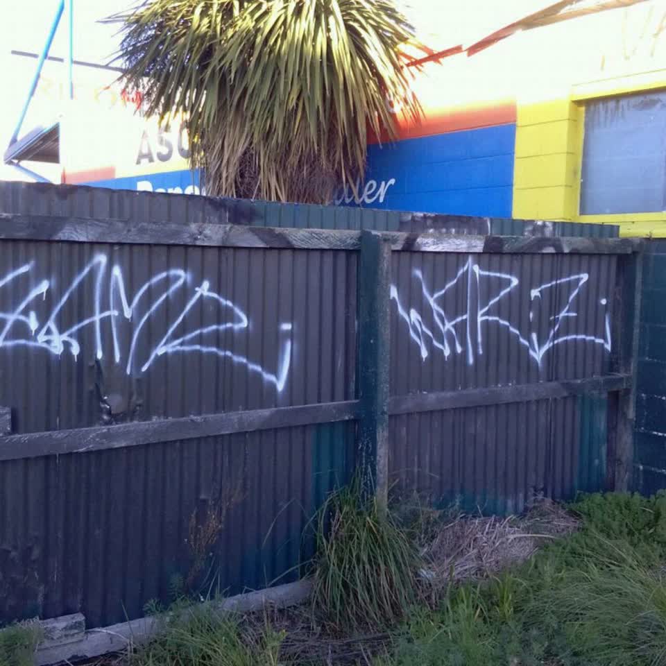 The photograph attached to this graffiti report