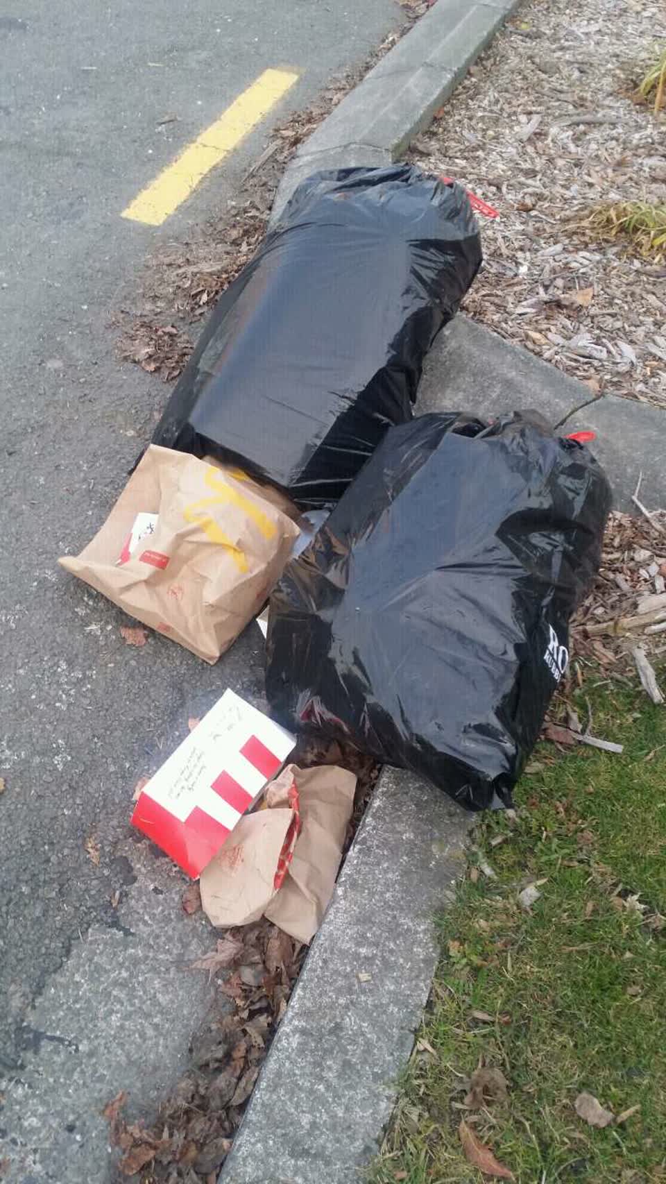 The photograph attached to this rubbish/recycling report