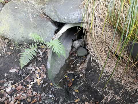 Wastewater/Stormwater, a report photo