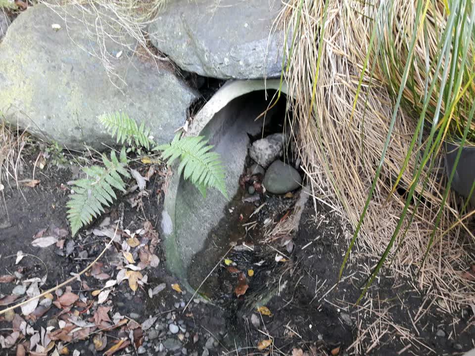 The photograph attached to this wastewater/stormwater report