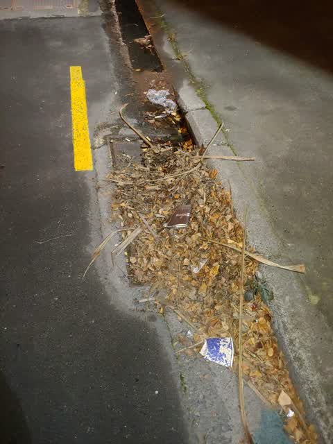 Wastewater/Stormwater, a report photo