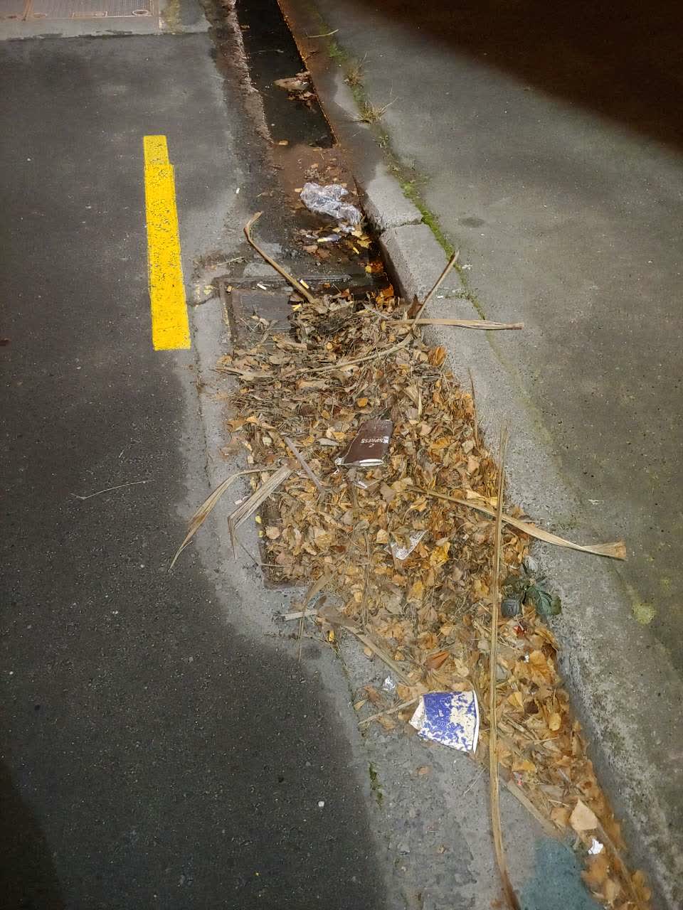 The photograph attached to this wastewater/stormwater report