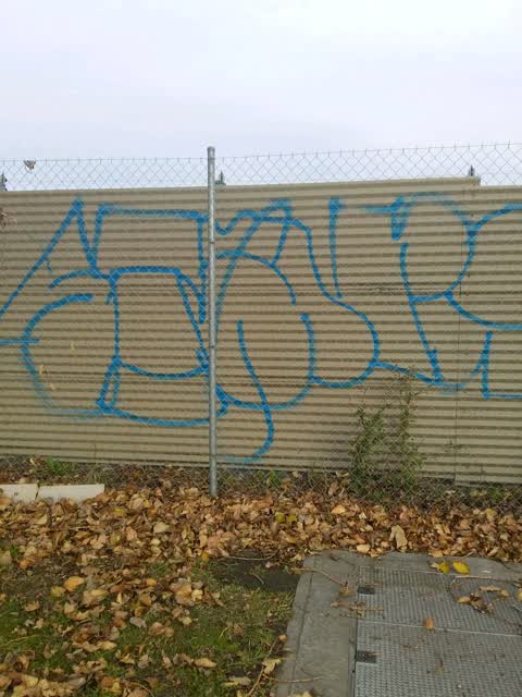 Graffiti, a report photo