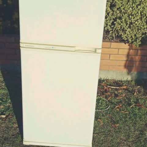 Rubbish/Recycling, a report photo