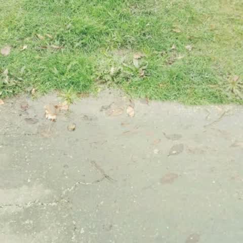 Wastewater/Stormwater, a report photo