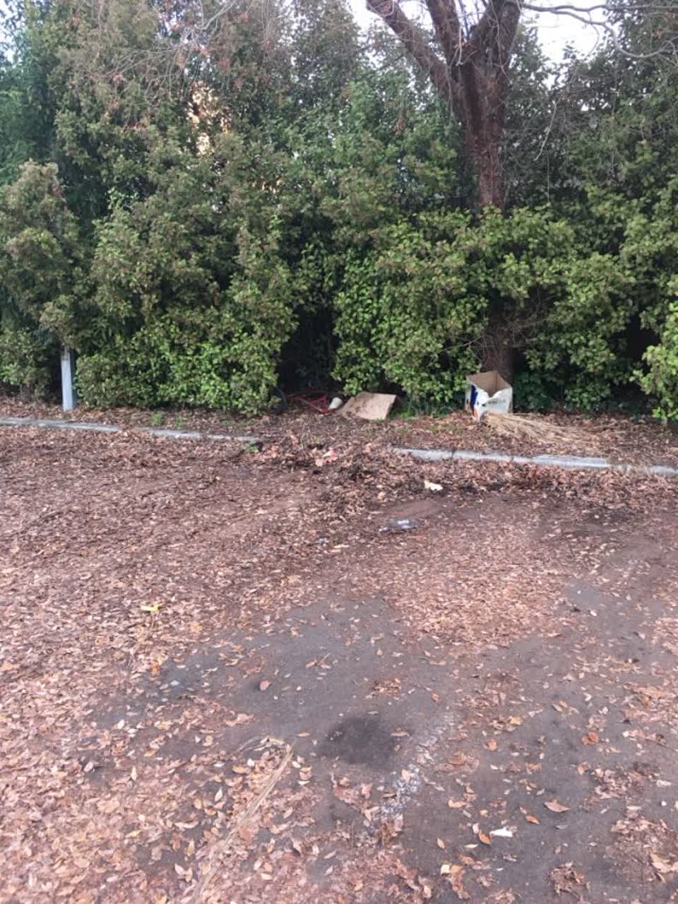The photograph attached to this parks report