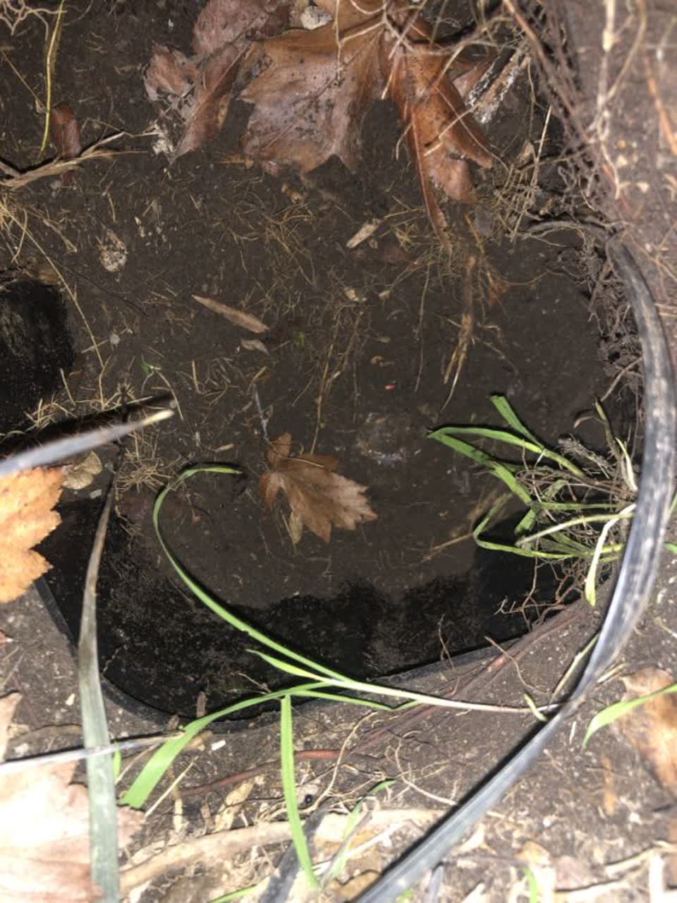 The photograph attached to this water supply report