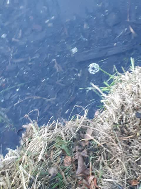 Wastewater/Stormwater, a report photo