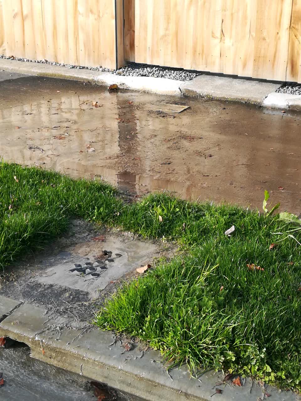 The photograph attached to this water supply report