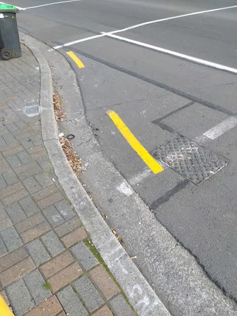 Roading/Streets, a report photo